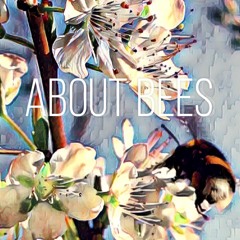 About Bees