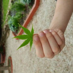 Shitty Cover of Out Tonight by Rosario Dawson