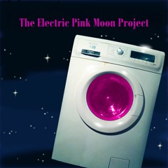 Harvest Breed by Nick Drake - cover by The Electric Pink Moon Project
