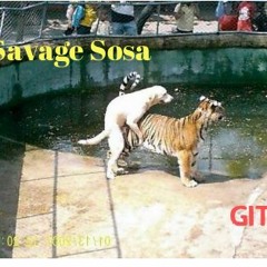 Savage Sosa- Get in There Prod. by Roland JoeC