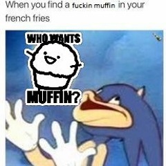 muffin song but mr muffin expired in 2007
