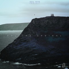 Soul Bass Project - Falling Upright