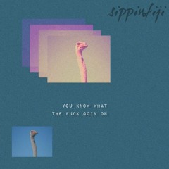 You Know What The Fuck Goin On