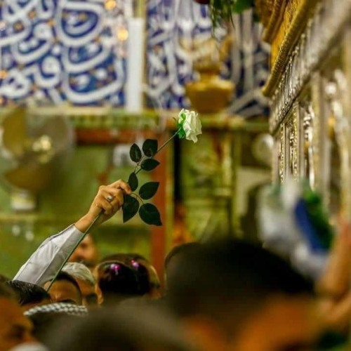 أمير قلبي وسلطان روحي - هيئة الروضتين