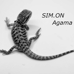 SIM.ON - Agama