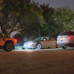 Rover Freestyle - TK