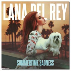 Lana Del Rey - Summertime Sadness (Dayvi Unofficial Remix)