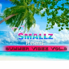 DJ Smallz Summer Vibez Vol.2