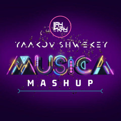 Yaakov Shwekey - Aish (Mashup)