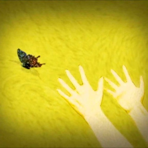 Stream Sty Wind Ed Naruto Cover Esp By Sty Listen Online For Free On Soundcloud