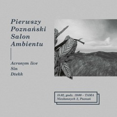Sin At Pierwszy Poznański Salon Ambientu