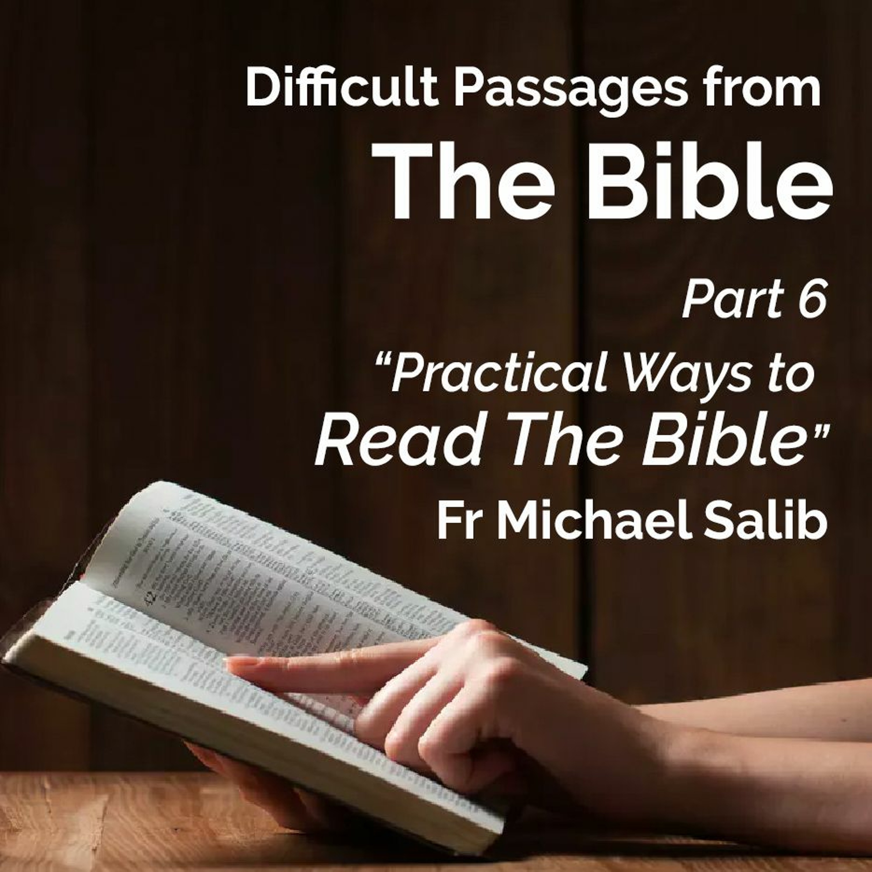 Difficult Passages from The Bible - Part 6 - "Practical Ways to Read The Bible" - Fr Michael Salib