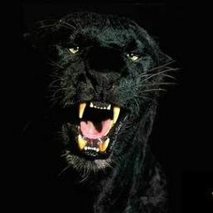 I Don't Understand (Prod. by Elevated Currency)