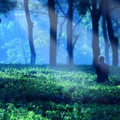 The Land Of Ill Gotten Gains