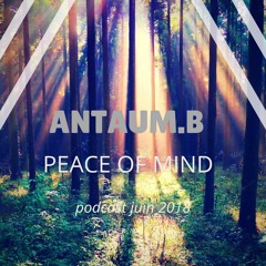 ANTAUM.B - PEACE OF MIND