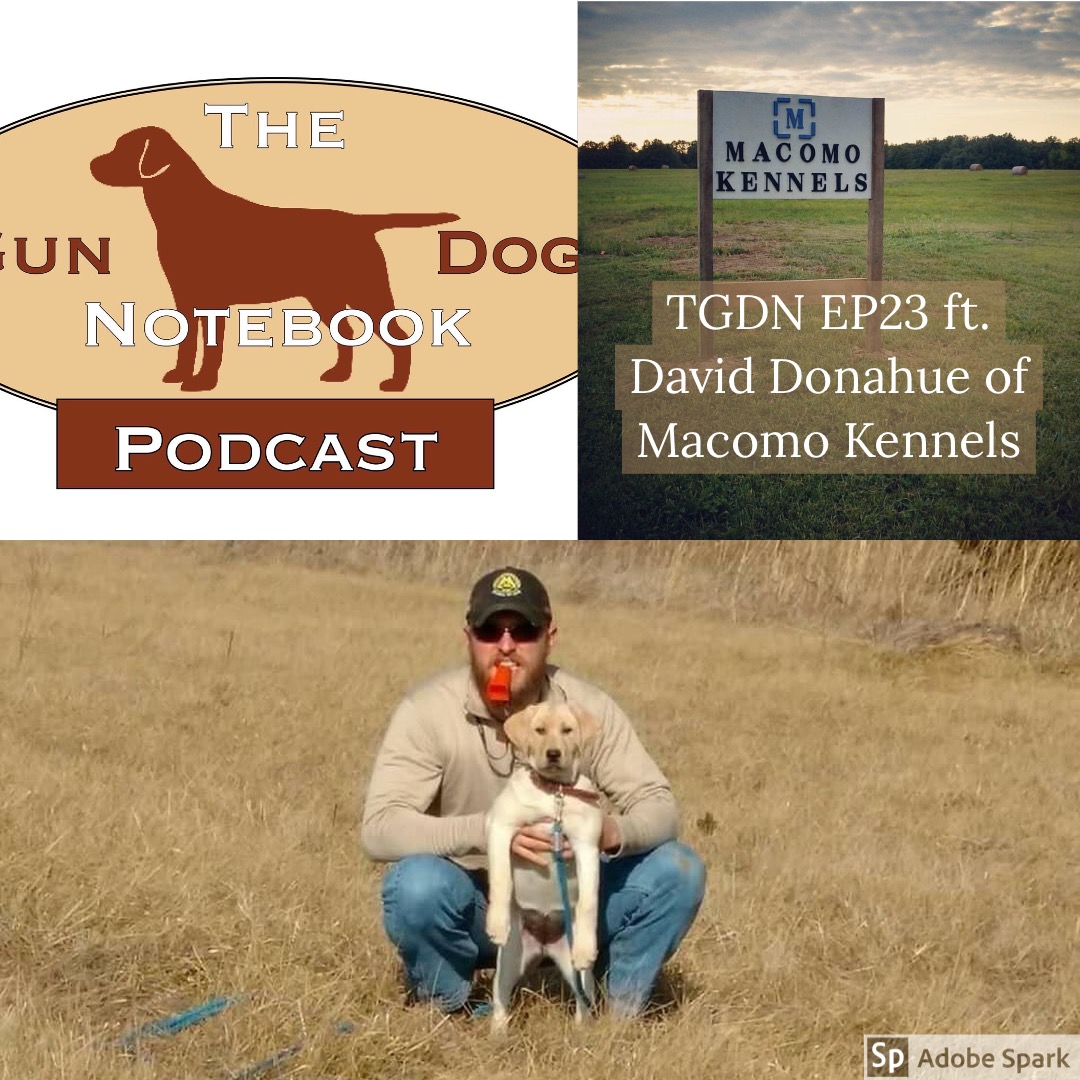 TGDN EP23 ft David Donahue Macomo Kennels & Dog Beds (New Partner Alert!!!)