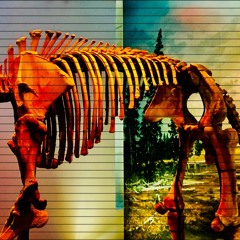 If you see me [prod. Osito & xnook]