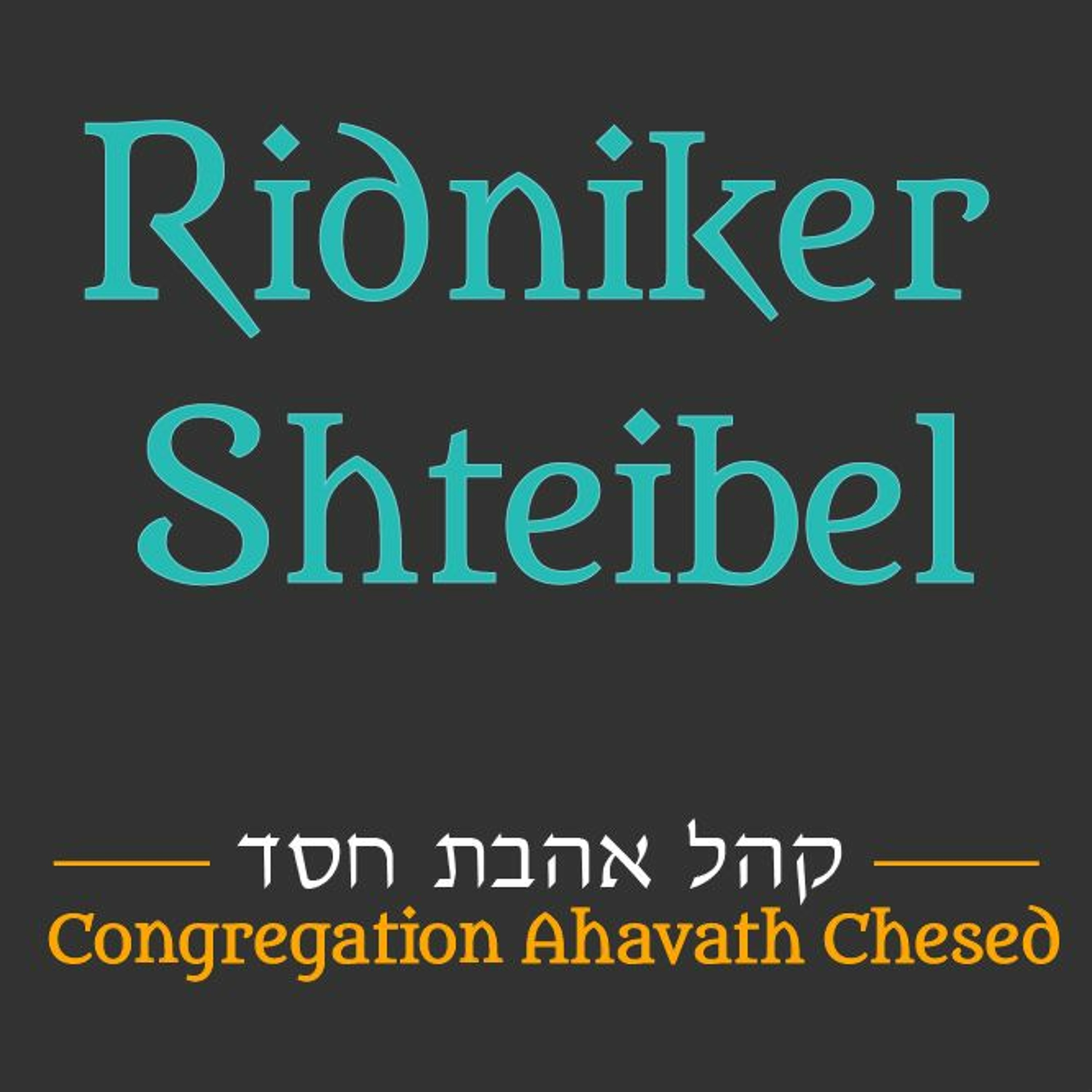 Tzitzis in the Summer – Rabbi Daniel Stein episode artwork
