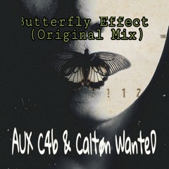 AUX C4b & Caltøn WanteD - Butterfly Effect (Original Mix)