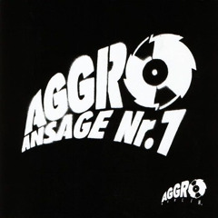 Aggro Ansage 1 feat  Sido, Bushido und B-Tight | Ganzes Album