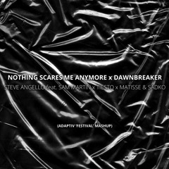 Steve Angello x Tiesto - Nothing Scares Me Anymore x Dawnbreaker (Adaptiv 'Festival' Mashup )