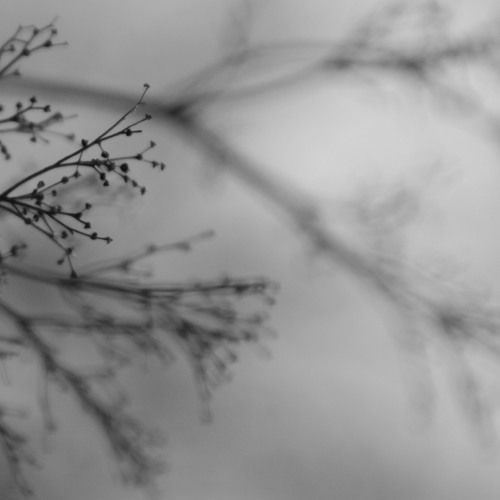 Dakote Suite, Dag Rosenqvist & Emanuele Errante - now that you know