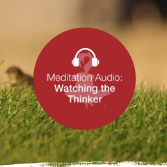 Watching the Thinker