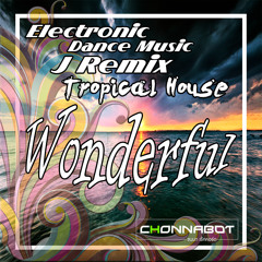 EDM TROPICAL HOUSE WONDERFUL 100 BPM J REMIX