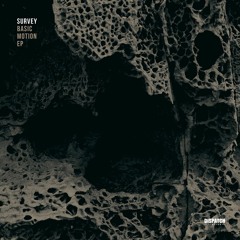 Survey - Basic Motion - Dispatch LTD 052 (CLIP) - OUT NOW