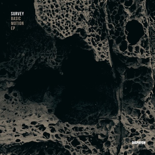 Survey - Basic Motion - Dispatch LTD 052 (CLIP) - OUT NOW