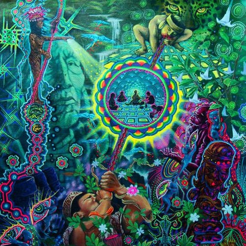 The Power Of The Forest