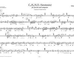 Serotonin for piccolo and computer (2008)