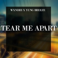 WXNDIII X YUNG BREEZE - Tear Me Apart