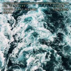 Porter Robinson - Sea Of Voices (1MOOD & Boy Mantra Remix)