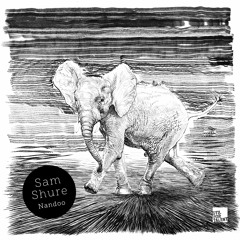 Sam Shure & Niko Schwind - Shams feat. Temple Haze [FULL TRACK]