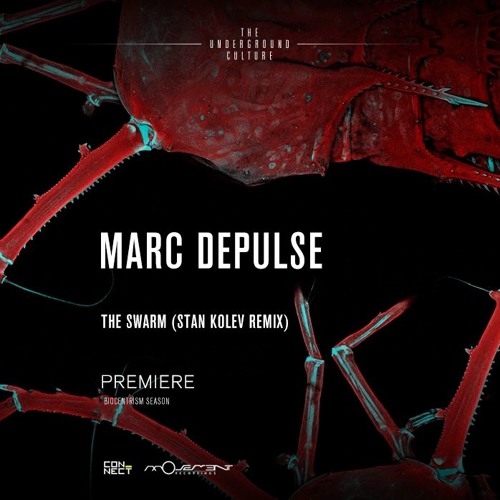 PREMIERE: Marc DePulse - The Swarm (Stan Kolev Remix) [Movement Recordings]