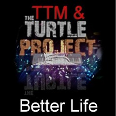 Better life ft The Turtle Project on vocals