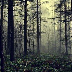 Halsey - Control [Male]