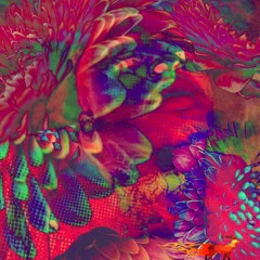 Can I See You Lady? (Unmastered Freestyle Version)