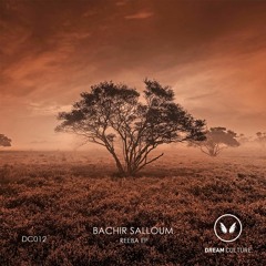 Bachir Salloum - Serenity (Original Mix)