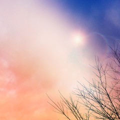 Waste (Instrumental)