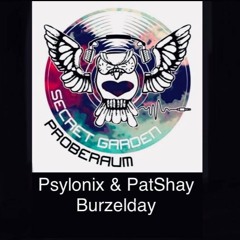 DJ Psylonix : Privat B-Day Party , Oldshool GOA Mix Set