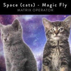 Space (cats) - Magic Fly