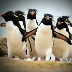 Selection Naturelle