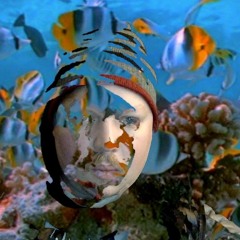 Set Nomer 1 by Fedor Vetkalov for STREET BEAT