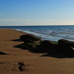Turn Of The Tide - Lyrics by Pauline McNulty & Mandolin by Shane Farrell