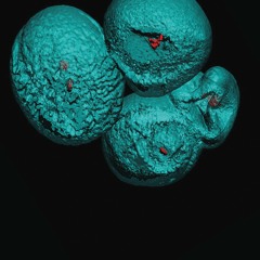 "Parallel Asteroid" No. 2 - by Duo Siedl/Cao