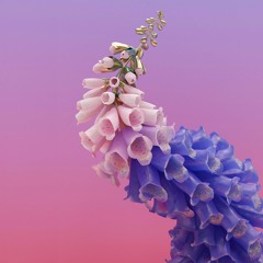 2018 - 06 - 05 Flume Set