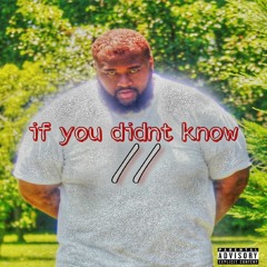 Who Run It (freestyle) feat. dwrek, greed sinatra