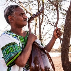 Narjesa
